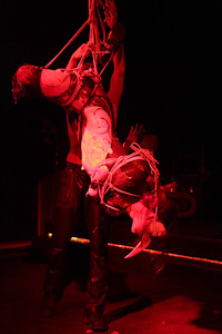 Performance im Catonium