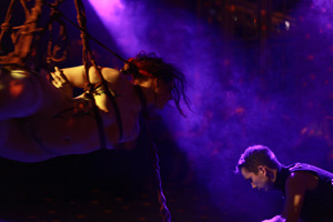 Performance im Insomnia